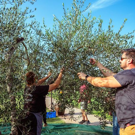 Agriturismo Biologico Diacceroni Villamagna  Eksteriør bilde