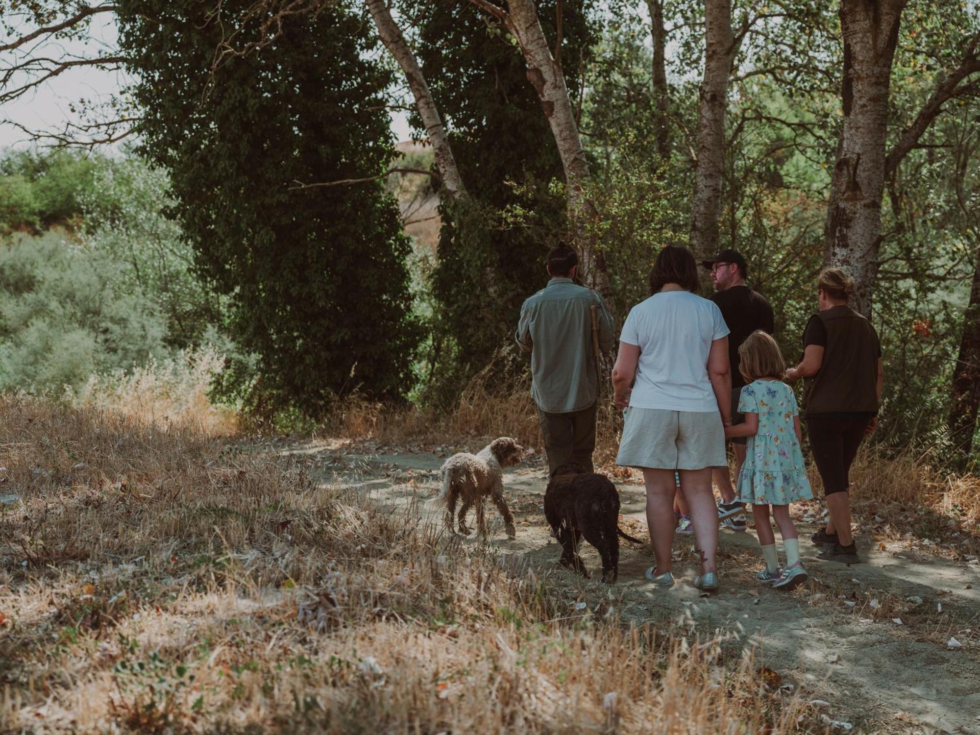 Agriturismo Biologico Diacceroni Villamagna  Eksteriør bilde