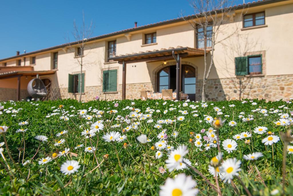 Agriturismo Biologico Diacceroni Villamagna  Eksteriør bilde